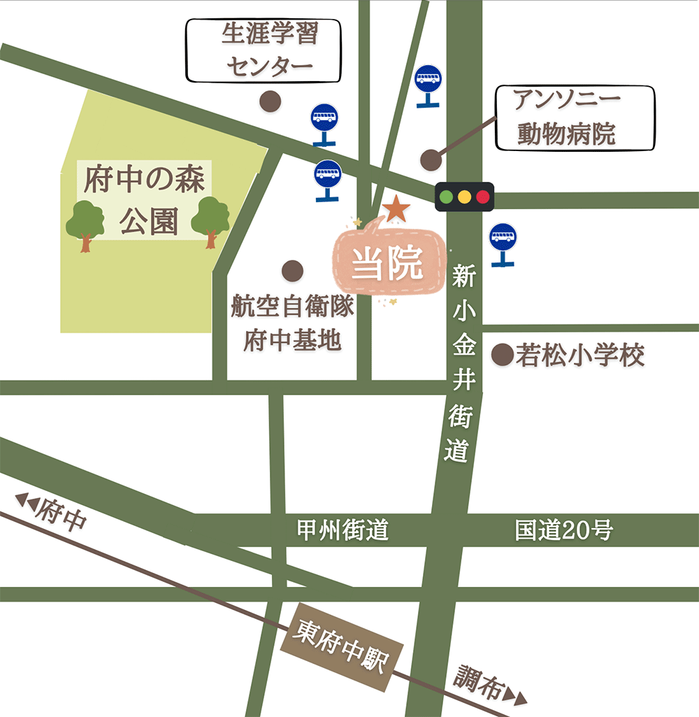 アクセスマップ